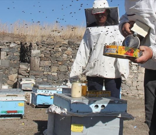 Adanalı Arıcılara Uygulamalı Eğitim Verildi arı-yetiştiricileri