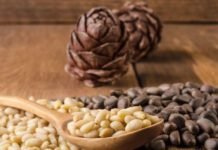 Çam Fıstığı Altınla Yarışıyor cam-fistigi