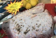 Kilosu 250 Liraya Alıcı Bulan Kalkan, Yok Satıyor kalkan balığı