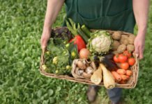 Organik Tarım Sektöründe Büyük Güçbirliği organik tarım