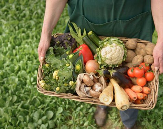 Organik Tarım Sektöründe Büyük Güçbirliği organik tarım