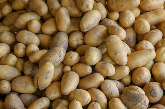 TMO, Üreticinin Elinde Kalan Patates Ve Soğanı Alacak patates
