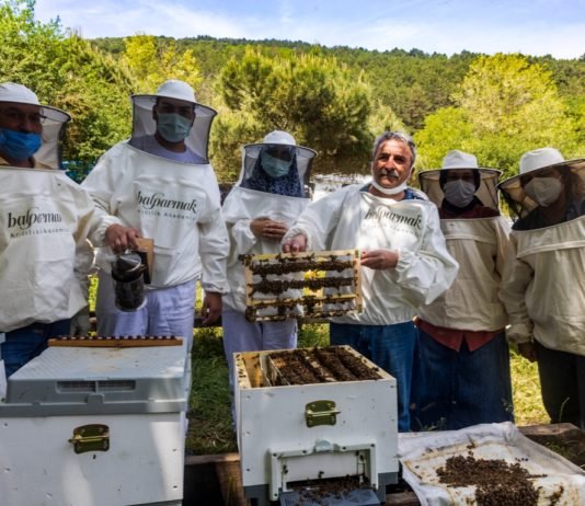 Balparmak Arıcılık Akademisi ile İstanbul’a Yeni Arıcılar Kazandırdı