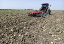 Depodaki Soğan Alındı, Tarladaki Traktörle Sürülüyor tarla-sogan