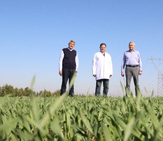 Küresel Tahıl ve Bakliyat Pazarında Türkiye’yi Büyük Fırsatlar Bekliyor İhsan Duru Nevzat Aydin Emin Duru