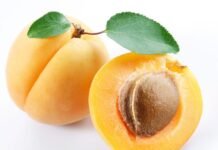 Kayısı Suyu İçmek Sindirim Sistemini Güçlendiriyor Kayısı suyu