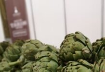 Organik Ve Zeytin Sektörünün İzmir’deki Buluşması ekoloji izmir fuari