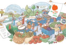 Türkiye’nin İlk Organik Pazarı 16. Yılını Kutluyor _ekolojik_pazar_