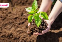 Yemeksepeti’nden Çalışanlarına Sürdürülebilirlik Eğitimleri Başladı _Yemeksepeti_Surdurulebilirlik_calismalari_01