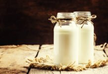 1 Bardak Kefirle Gelen 8 Fayda 1 BARDAK KEFİRLE GELEN 8 FAYDA