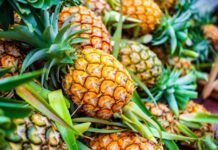 Tropikal Meyve İhracatında 2022 Hedefi 20 Milyon Dolar tropikal meyve ihracatı 7 milyon dolara ulaştı