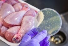 Gıda Zehirlenmesinde Erken Müdahale Tedaviyi Kolaylaştırıyor Gıda Zehirlenmesinde Erken Müdahale Tedaviyi Kolaylaştırıyor