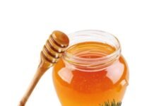 Muğla Çam Balı Uluslararası Platforma Taşınacak Muğla Çam Balı Uluslararası Platforma Taşınacak