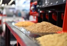 Türk Değirmencilik Sektöründen Rusya’ya 300 Milyon Dolarlık İhracat Hedefi Türk Değirmencilik Sektörü