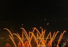 Adana Lezzet Festivali’nde 261.500 Kg Et, 196.800 Litre Şalgam Tüketildi ADANA LEZZET FESTİVALİ’