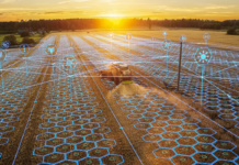 Macaristan, Tarım Teknolojileriyle Agroexpo 2025’te Yerini Alıyor tarim-ve-hayvancilik-fuari