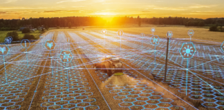 Macaristan, Tarım Teknolojileriyle Agroexpo 2025’te Yerini Alıyor tarim-ve-hayvancilik-fuari