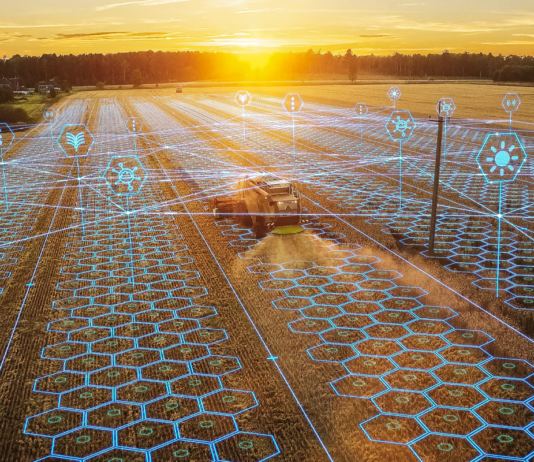 Macaristan, Tarım Teknolojileriyle Agroexpo 2025’te Yerini Alıyor tarim-ve-hayvancilik-fuari